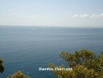 DSC02520.JPG