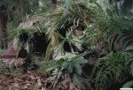 sniper-add-0.jpg