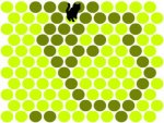 Untitled picture2.jpg