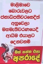 76AAD5EC-CE7E-4D3C-8915-2BA8B262DCF7.jpeg