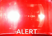 1732182481008.png