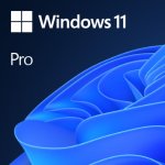 WINDOWS 11 PRO.jpg