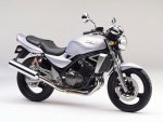 zr250b-sil-b.jpg