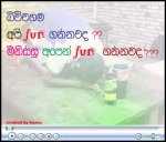 163125_151582964894601_100001286966089_295676_4132255_n.jpg