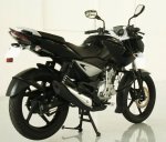 copy-of-pulsar-135-ls.jpg