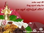 suba_aluth_auruddak_wewa2-721514.jpg