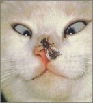 funny_1114.jpg