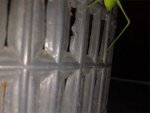 23102010404.jpg