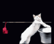200.gif