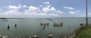 IMG_3505.jpeg