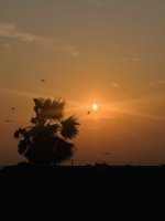 IMG_6289.jpeg