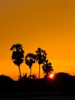 IMG_6125.jpeg