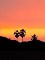 IMG_6117.jpeg