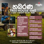 Tree house 2 -1.jpg
