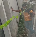 Capture.jpg