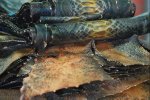 image011.jpg