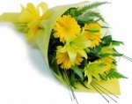 buchet-1.jpg buchet-1.jpg