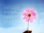 love_poem-7907.jpg