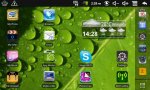 20110403062845.jpg