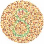 Color8.jpg