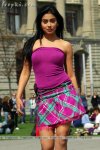 Shriya_Saran_7.jpg