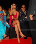 ShriyaSaran03.jpg