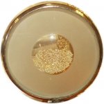 Buddha'a Relics.jpg
