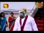 img_30881_sri-lanka-latest-news-mahinda-moda-arrived-in-sri-monkey-funny-flv.jpg