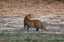 DSC_6807.jpg