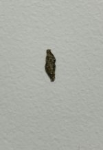 IMG_5673.jpeg