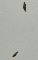 IMG_5674.jpeg