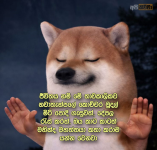 1778293551866.png