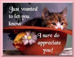 I_Appreciate_You1.jpg