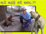 dog love copy.jpg