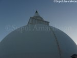 IMG_0483.jpg