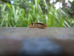 DSC00248.jpg