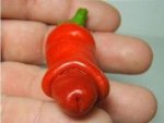 crazy naughty sexy nature vegetables- trees-fruits-00.jpg