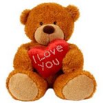 teddy.jpeg