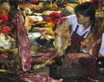 Dog-meat.jpg