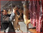 chinas-dog-meat-trade-copy.jpg