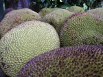 jackfruit.jpg