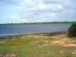 DSC00088.JPG