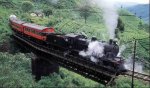 train[1].jpg