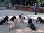 KUTACONFERENCE.jpg