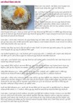 Resize of 8003165-egg_rice.jpg