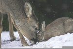 image014.jpg