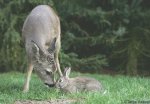 image020.jpg