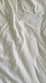 da960ebfd6a3eeb3ee533022c03b9aa1.jpg