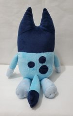 Aa41 Bluey.jpeg