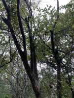 IMG_2518.jpg
